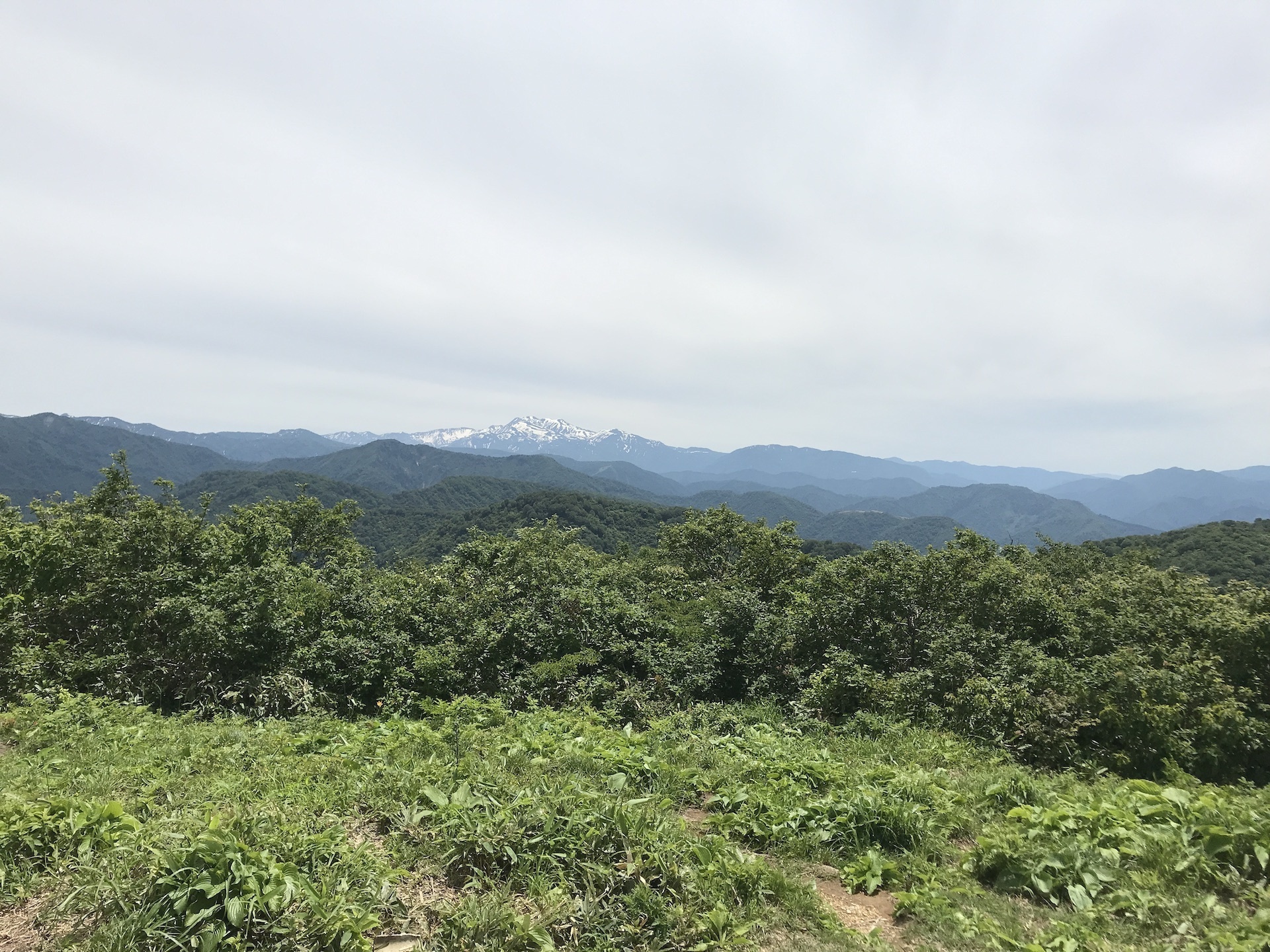 奥獅子吼山は手軽なQRP山岳移動に最適である。: 人生後半戦
